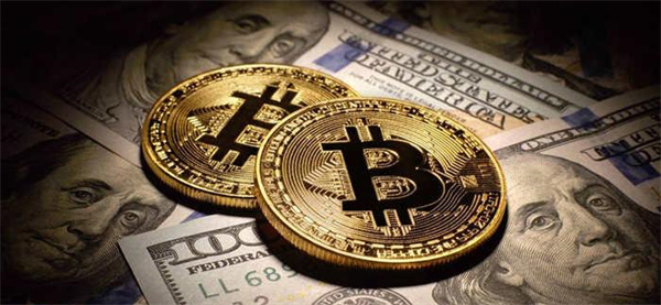 国内热门的炒币平台有哪些-第1张图片-芝麻交易所下载